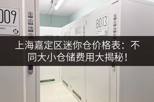 上海嘉定区迷你仓价格表：不同大小仓储费用大揭秘！