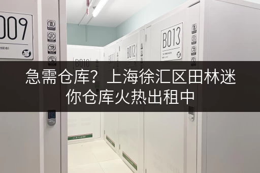 急需仓库？上海徐汇区田林迷你仓库火热出租中