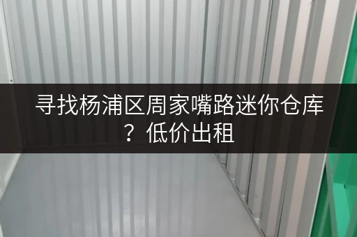 寻找杨浦区周家嘴路迷你仓库？低价出租，安全可靠！