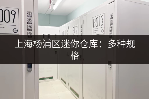 上海杨浦区迷你仓库：多种规格，满足您的存储需求