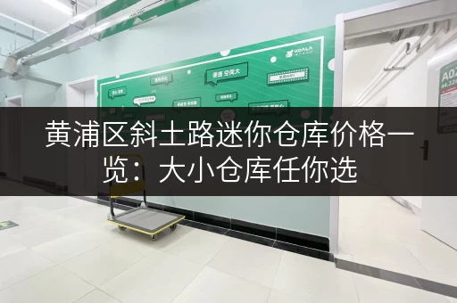 黄浦区斜土路迷你仓库价格一览：大小仓库任你选