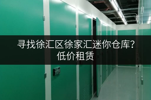寻找徐汇区徐家汇迷你仓库？低价租赁，安全可靠，多种选择