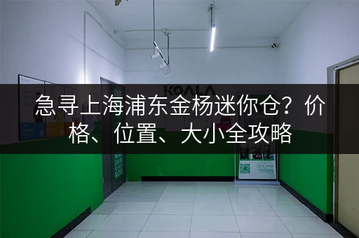 急寻上海浦东金杨迷你仓？价格、位置、大小全攻略
