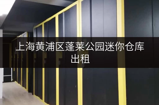 上海黄浦区蓬莱公园迷你仓库出租，低价优惠，多种面积可选