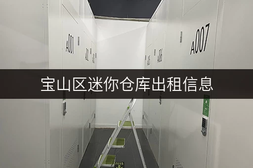 宝山区迷你仓库出租信息，多种面积任您选择！