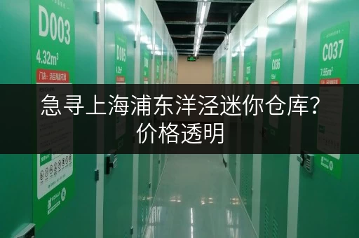 急寻上海浦东洋泾迷你仓库？价格透明，租金灵活，方便快捷！