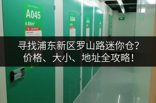 寻找浦东新区罗山路迷你仓？价格、大小、地址全攻略！