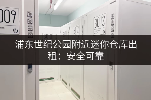 浦东世纪公园附近迷你仓库出租：安全可靠，交通便利，适合个人和企业