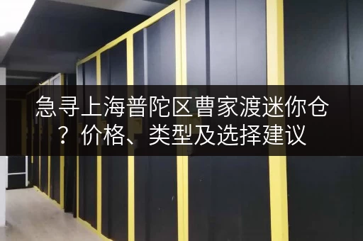 急寻上海普陀区曹家渡迷你仓？价格、类型及选择建议
