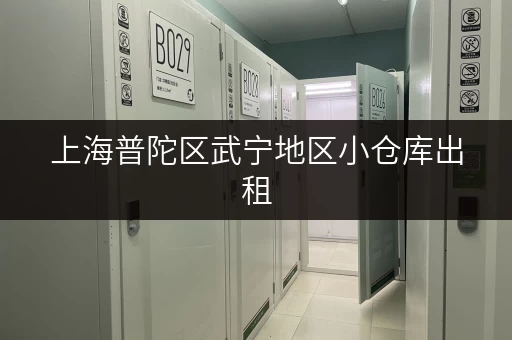 上海普陀区武宁地区小仓库出租，适合电商小型仓储