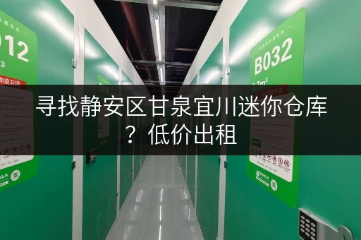 寻找静安区甘泉宜川迷你仓库？低价出租，安全可靠