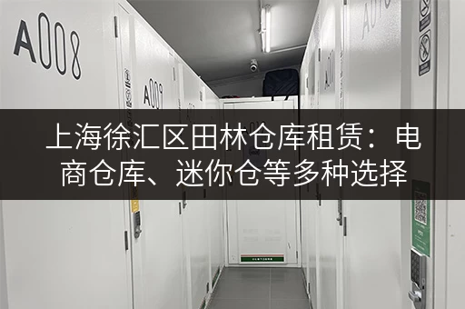 上海徐汇区田林仓库租赁：电商仓库、迷你仓等多种选择