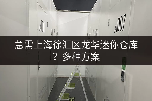 急需上海徐汇区龙华迷你仓库？多种方案，快速解决
