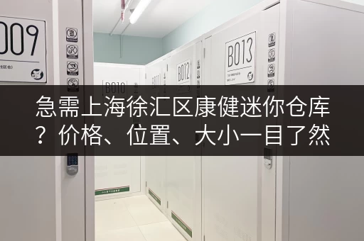 急需上海徐汇区康健迷你仓库？价格、位置、大小一目了然