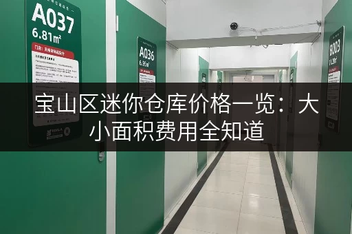 宝山区迷你仓库价格一览：大小面积费用全知道