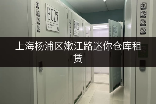 上海杨浦区嫩江路迷你仓库租赁，方便快捷价格透明