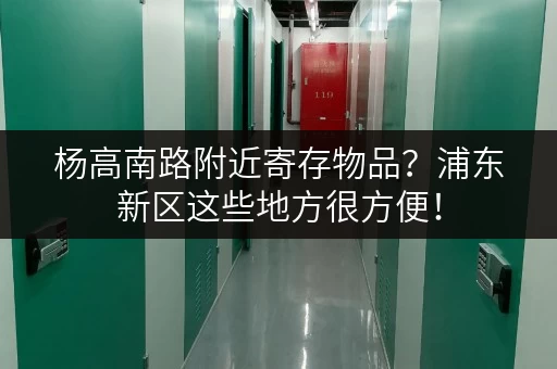 杨高南路附近寄存物品？浦东新区这些地方很方便！