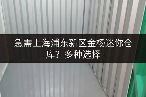 急需上海浦东新区金杨迷你仓库？多种选择，总有一款适合您！