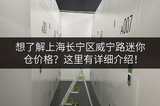 想了解上海长宁区威宁路迷你仓价格？这里有详细介绍！