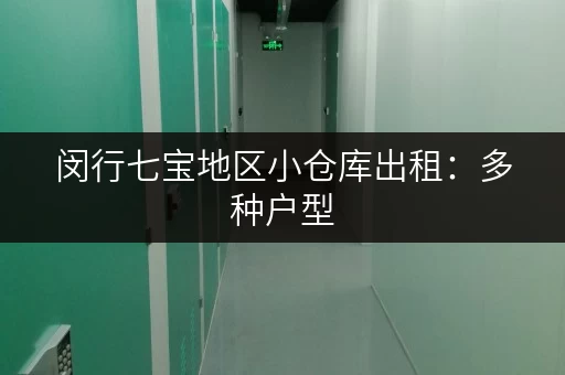 闵行七宝地区小仓库出租：多种户型，灵活租赁，方便快捷