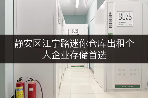 静安区江宁路迷你仓库出租个人企业存储首选