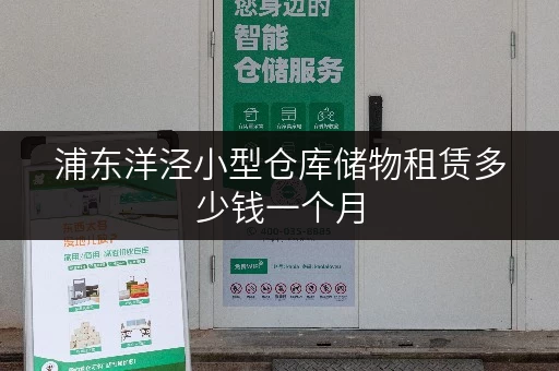 浦东洋泾小型仓库储物租赁多少钱一个月