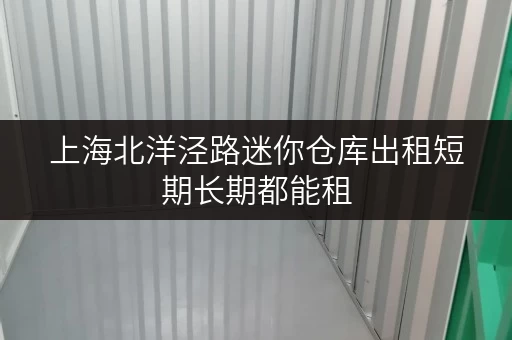 上海北洋泾路迷你仓库出租短期长期都能租