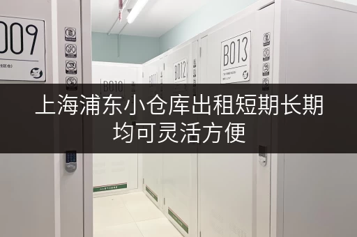 上海浦东小仓库出租短期长期均可灵活方便
