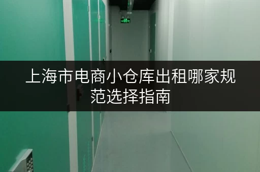 上海市电商小仓库出租哪家规范选择指南