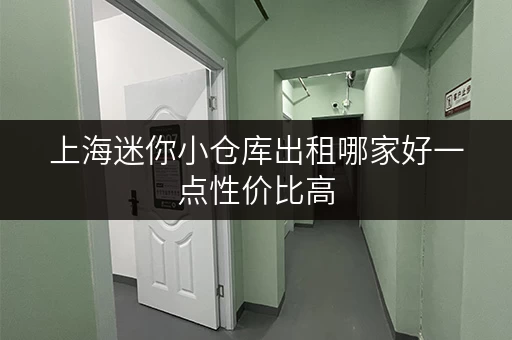 上海迷你小仓库出租哪家好一点性价比高