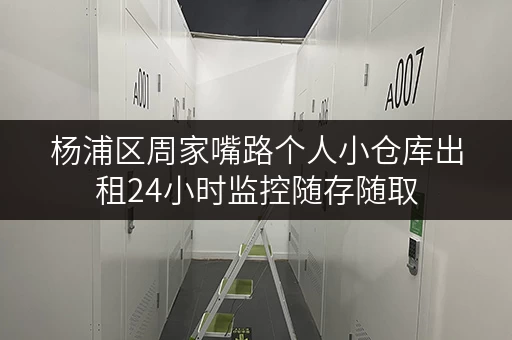 杨浦区周家嘴路个人小仓库出租24小时监控随存随取