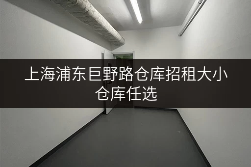 上海浦东巨野路仓库招租大小仓库任选