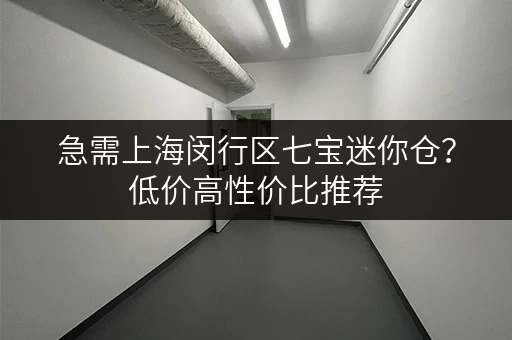 急需上海闵行区七宝迷你仓？低价高性价比推荐