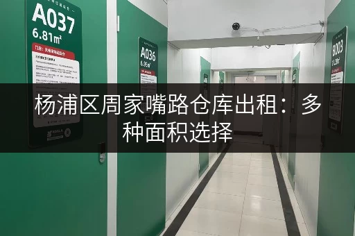 杨浦区周家嘴路仓库出租：多种面积选择，满足您的需求