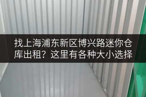 找上海浦东新区博兴路迷你仓库出租？这里有各种大小选择！