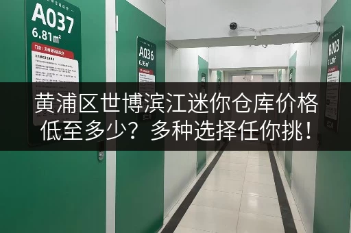 黄浦区世博滨江迷你仓库价格低至多少？多种选择任你挑！