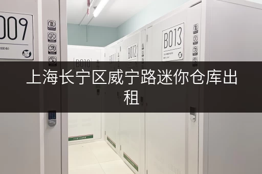 上海长宁区威宁路迷你仓库出租,安全可靠,价格实惠! 上海长宁区威宁路迷你仓库出租,安全可靠,价格实惠!
