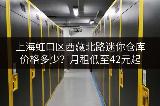 上海虹口区西藏北路迷你仓库价格多少？月租低至42元起