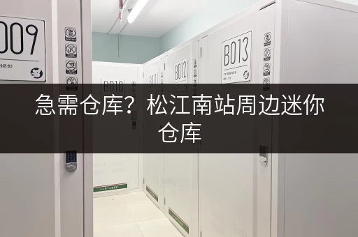 急需仓库?松江南站周边迷你仓库,安全可靠 急需仓库?松江南站周边迷你仓库,安全可靠