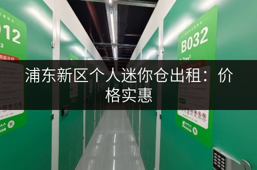 浦东新区个人迷你仓出租：价格实惠，交通便利，安全可靠