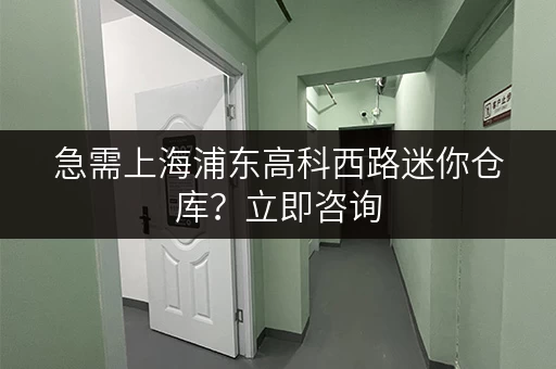急需上海浦东高科西路迷你仓库？立即咨询，快速租赁