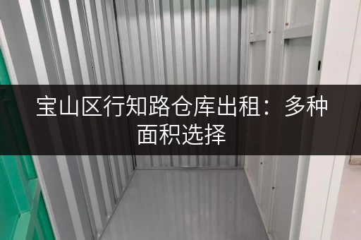 宝山区行知路仓库出租:多种面积选择,安全可靠 宝山区行知路仓库出租:多种面积选择,安全可靠