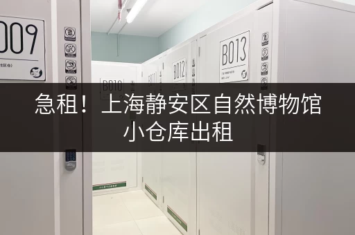 急租！上海静安区自然博物馆小仓库出租，多种面积选择