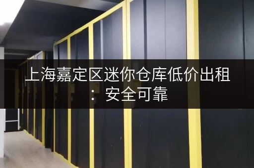 上海嘉定区迷你仓库低价出租：安全可靠，管理规范，租期灵活