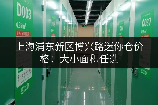 上海浦东新区博兴路迷你仓价格：大小面积任选，费用详解！
