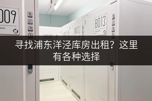 寻找浦东洋泾库房出租？这里有各种选择，满足您的需求