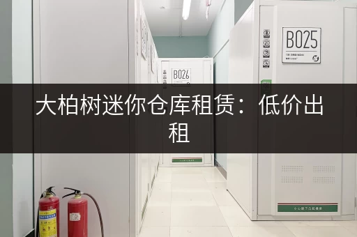大柏树迷你仓库租赁：低价出租，多种规格可选