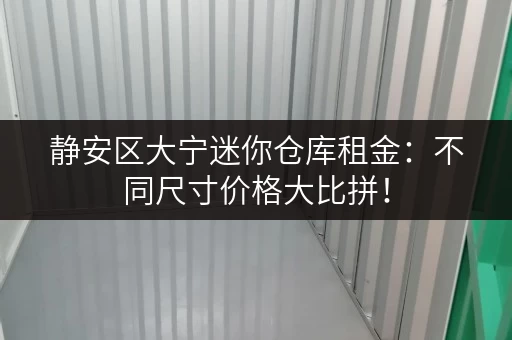 静安区大宁迷你仓库租金：不同尺寸价格大比拼！