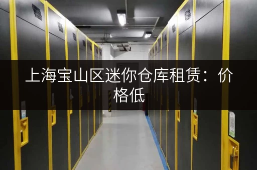 上海宝山区迷你仓库租赁：价格低，空间灵活，方便快捷！