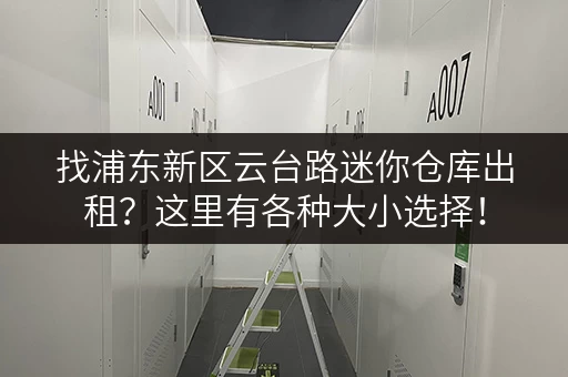 找浦东新区云台路迷你仓库出租？这里有各种大小选择！